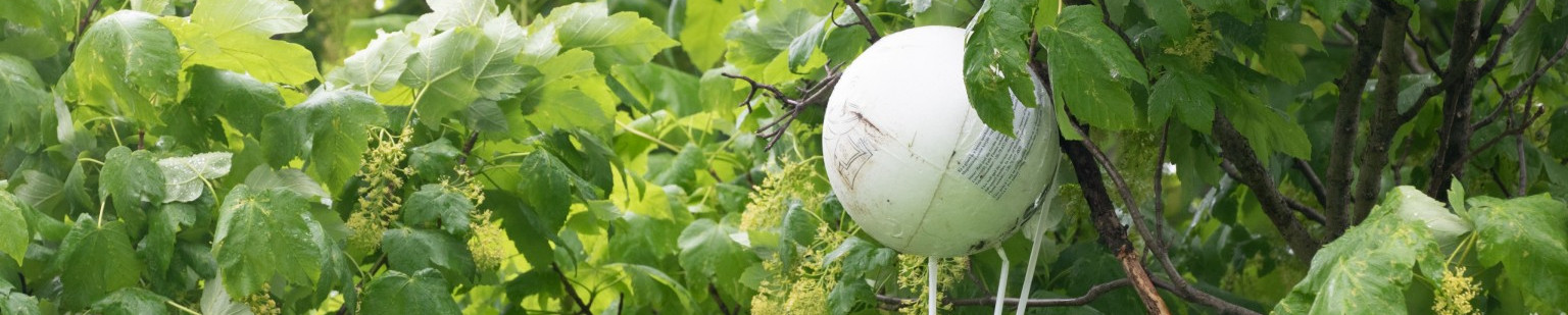 Magaslégköri ballonozás